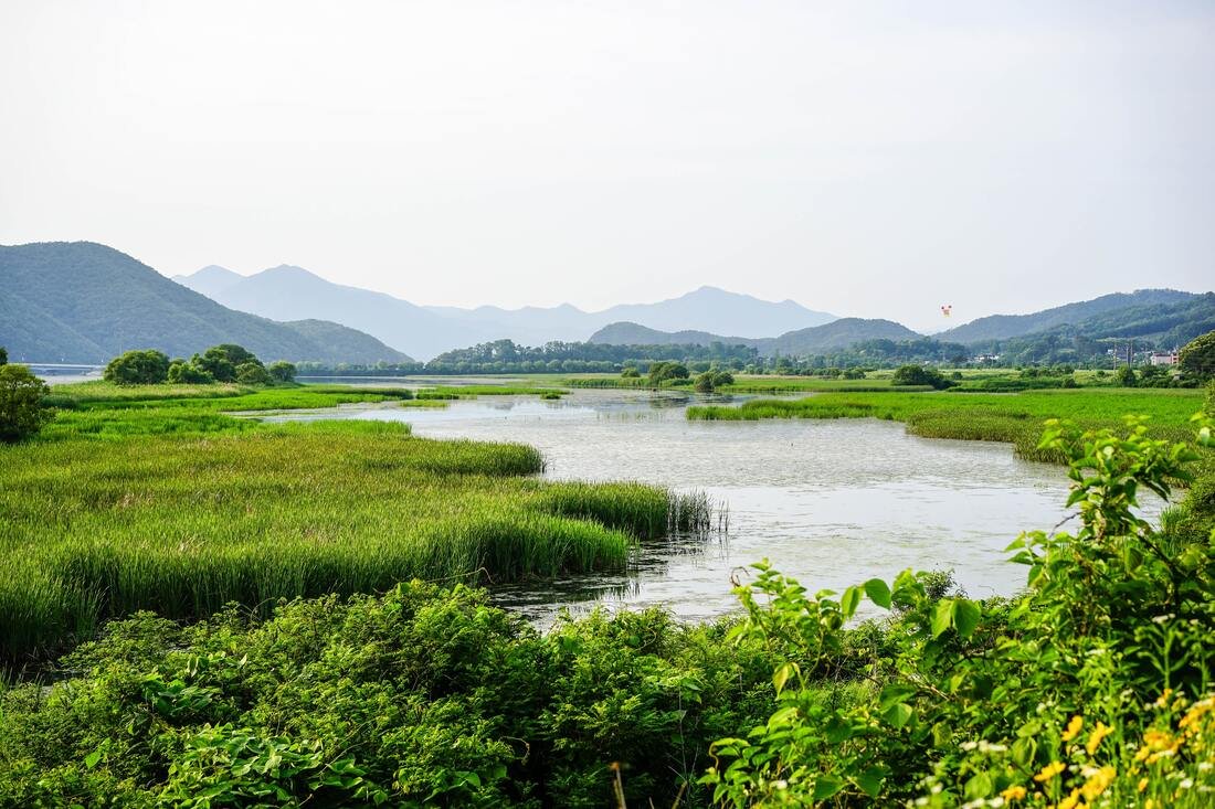  James Park, Korea. 