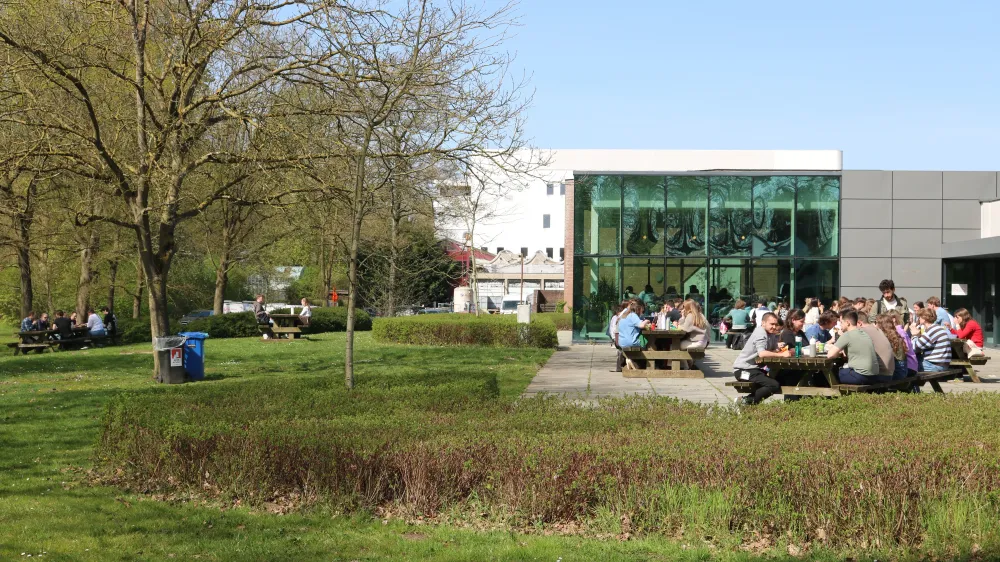 "Het moet niet altijd hard werken en studeren zijn": studenten zoeken massaal het buitenleven op tijdens eerste lentezon in Diepenbeek